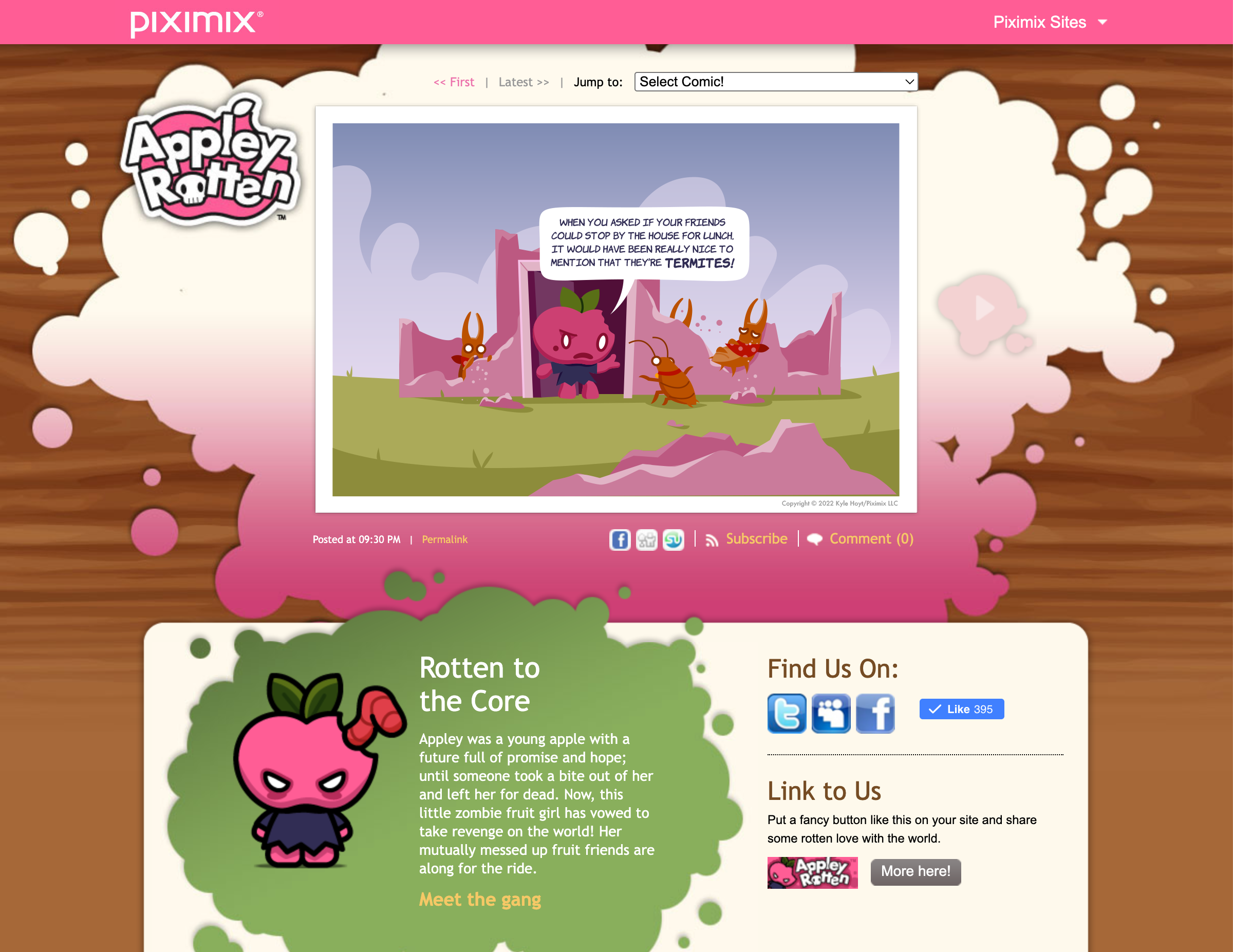 Previous website 3